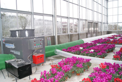 成熟妇人A片免费看网站