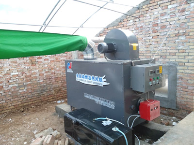 成熟妇人A片免费看网站