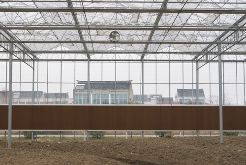 成熟妇人A片免费看网站