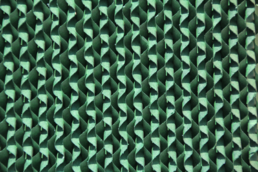 成熟妇人A片免费看网站