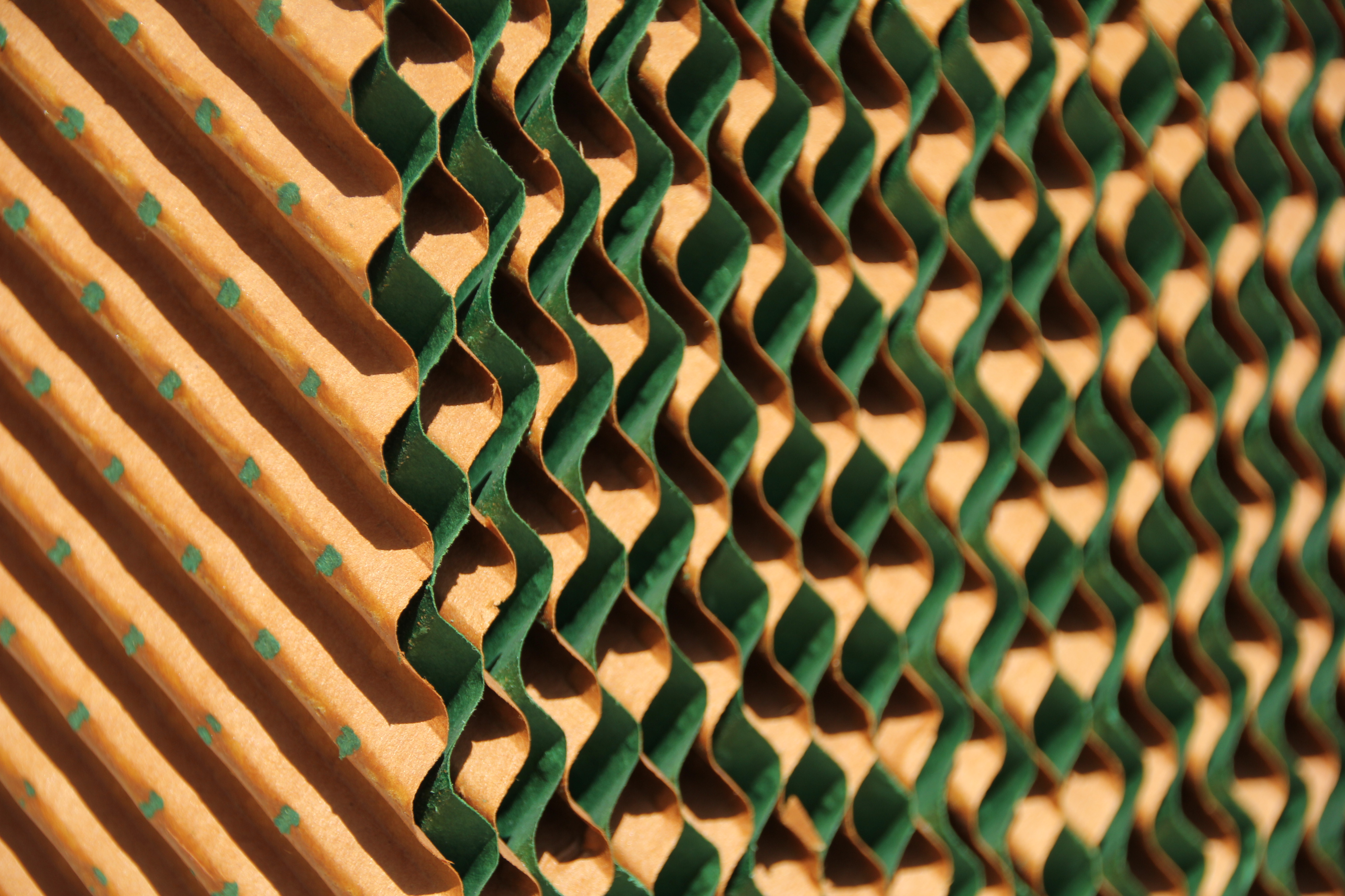 成熟妇人A片免费看网站