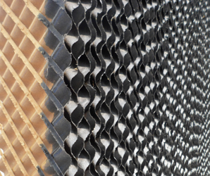 成熟妇人A片免费看网站