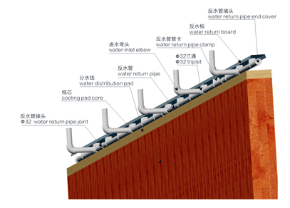 成熟妇人A片免费看网站