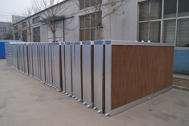 成熟妇人A片免费看网站