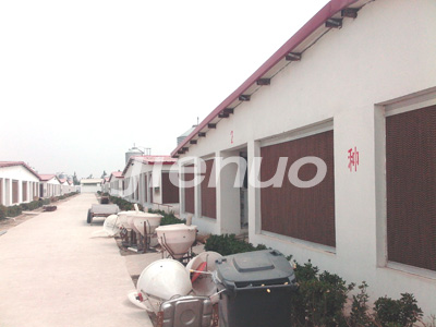 成熟妇人A片免费看网站