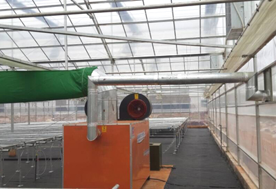 成熟妇人A片免费看网站