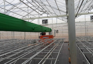 成熟妇人A片免费看网站