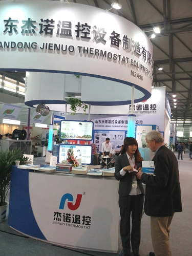 成熟妇人A片免费看网站