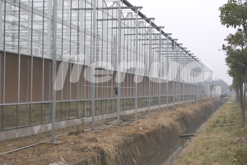 成熟妇人A片免费看网站