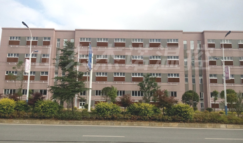 成熟妇人A片免费看网站