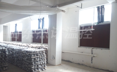 成熟妇人A片免费看网站