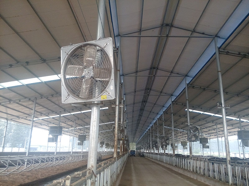 成熟妇人A片免费看网站