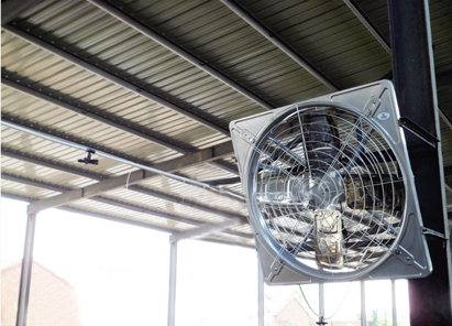 成熟妇人A片免费看网站