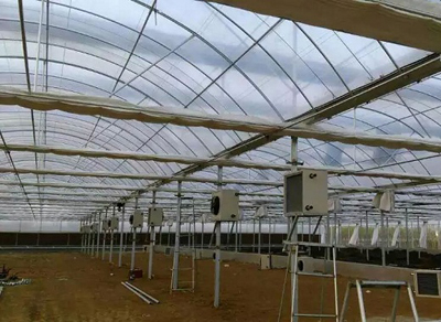 成熟妇人A片免费看网站