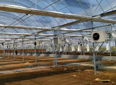 成熟妇人A片免费看网站