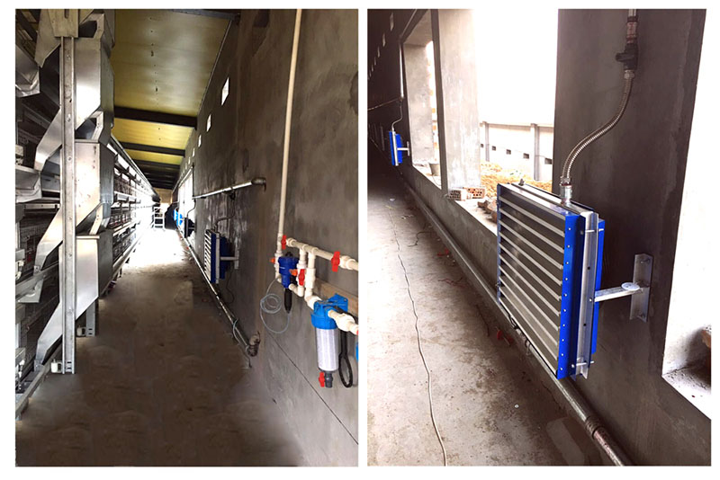 成熟妇人A片免费看网站