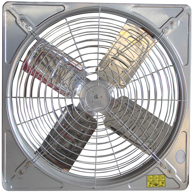 成熟妇人A片免费看网站