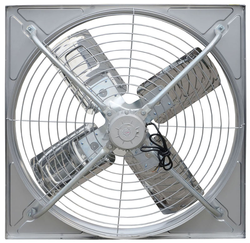 成熟妇人A片免费看网站