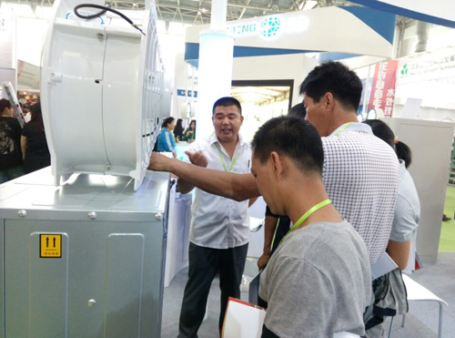 成熟妇人A片免费看网站