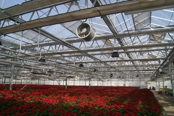 杰诺环流/循环风机