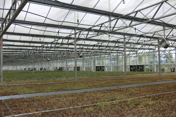 杰诺环流/循环风机