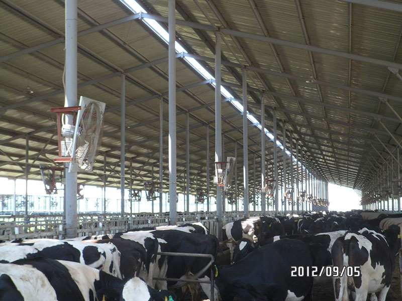 杰诺标准型牛舍风机