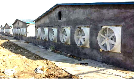 杰诺玻璃钢风机 杰诺玻璃钢风机