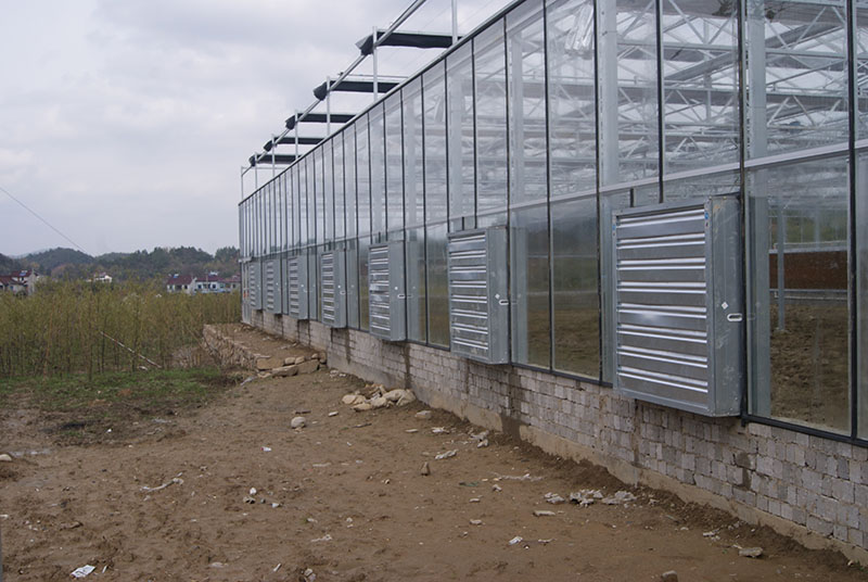 成熟妇人A片免费看网站