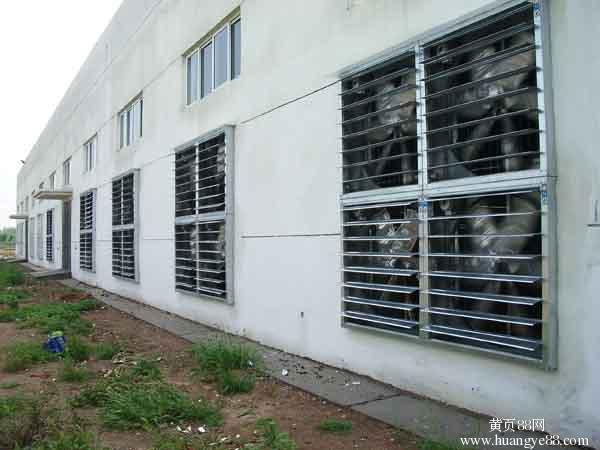 成熟妇人A片免费看网站