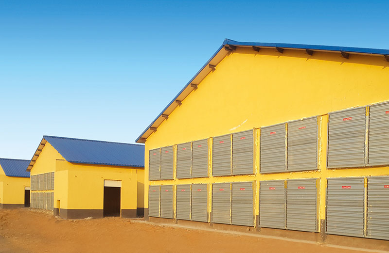 成熟妇人A片免费看网站