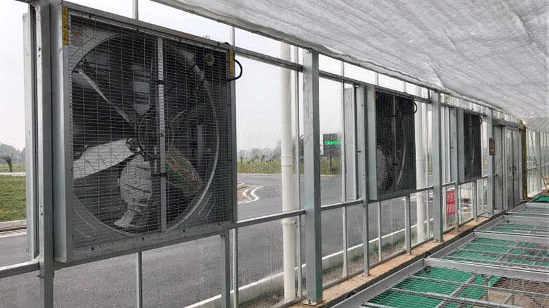 成熟妇人A片免费看网站