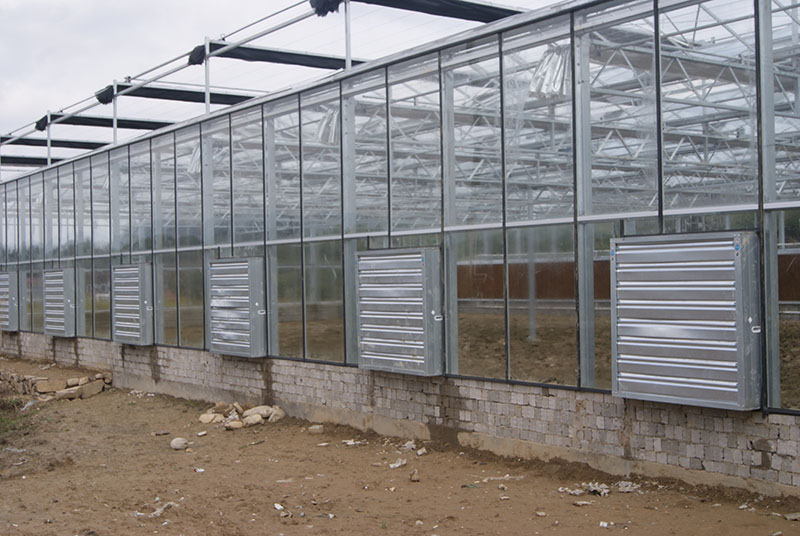 成熟妇人A片免费看网站