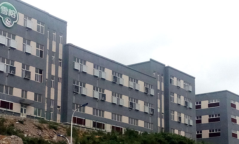 成熟妇人A片免费看网站