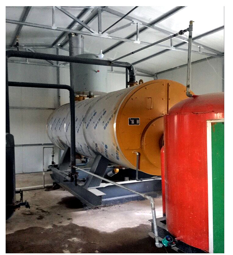 杰诺生物质锅炉 杰诺生物质锅炉