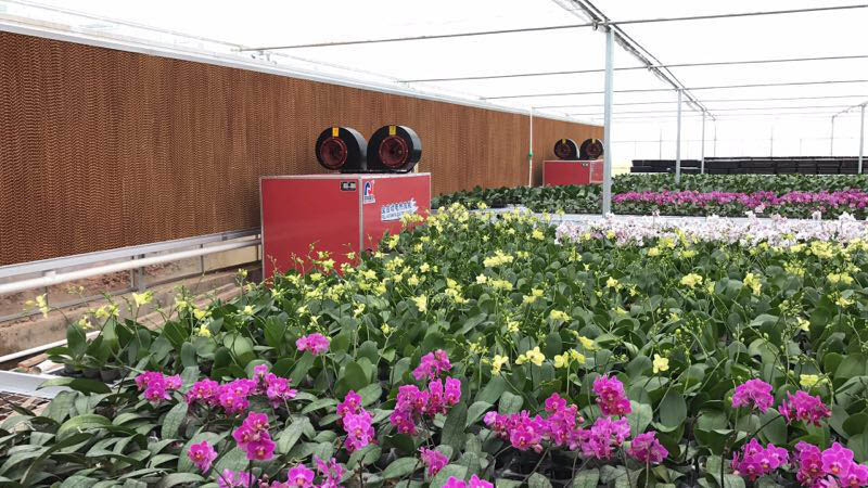 杰诺自动电热风机 杰诺自动电热风机