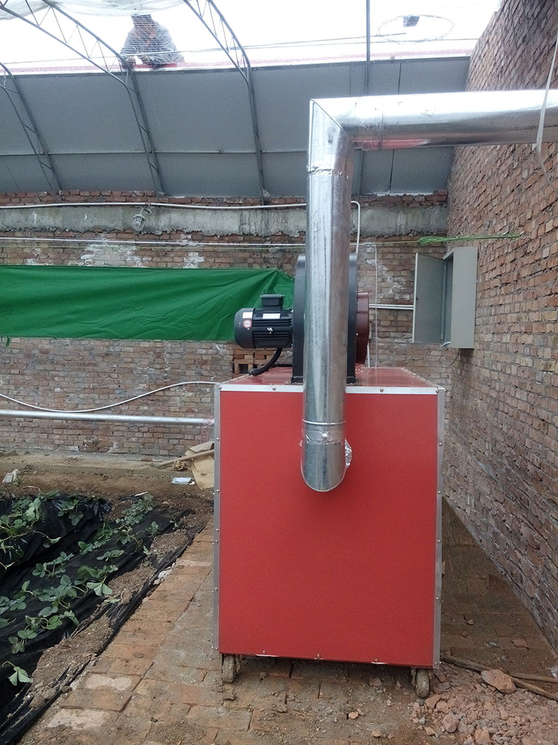 成熟妇人A片免费看网站