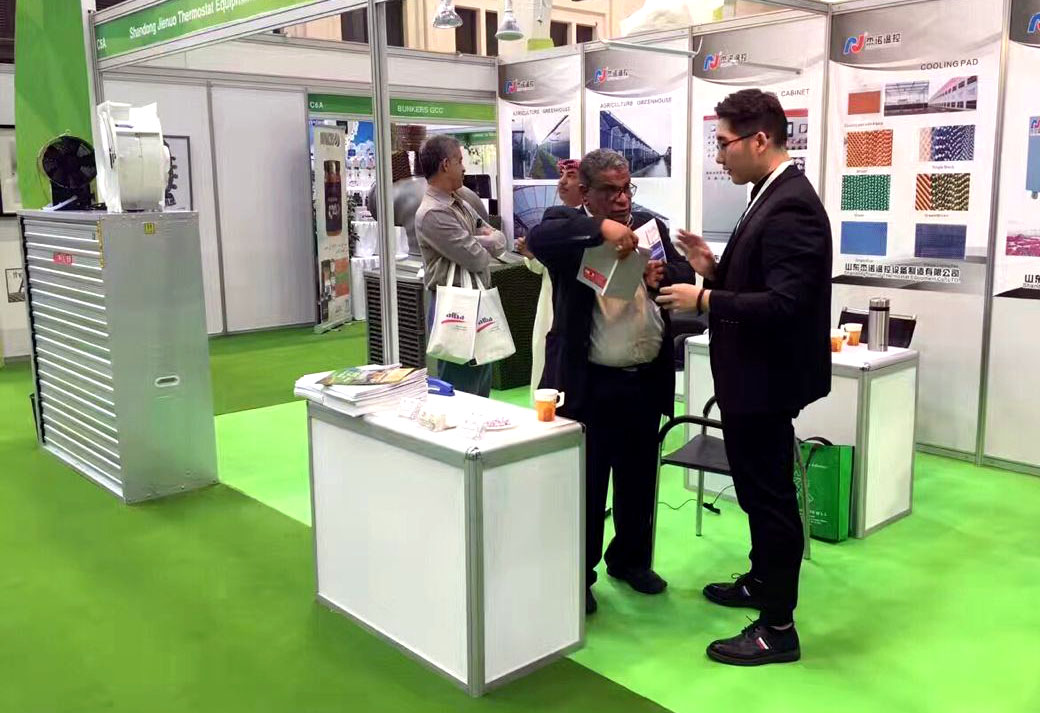 成熟妇人A片免费看网站