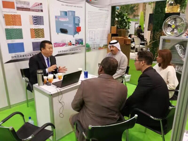 成熟妇人A片免费看网站