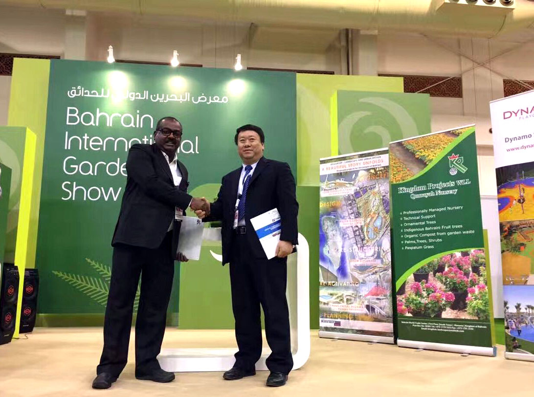 成熟妇人A片免费看网站