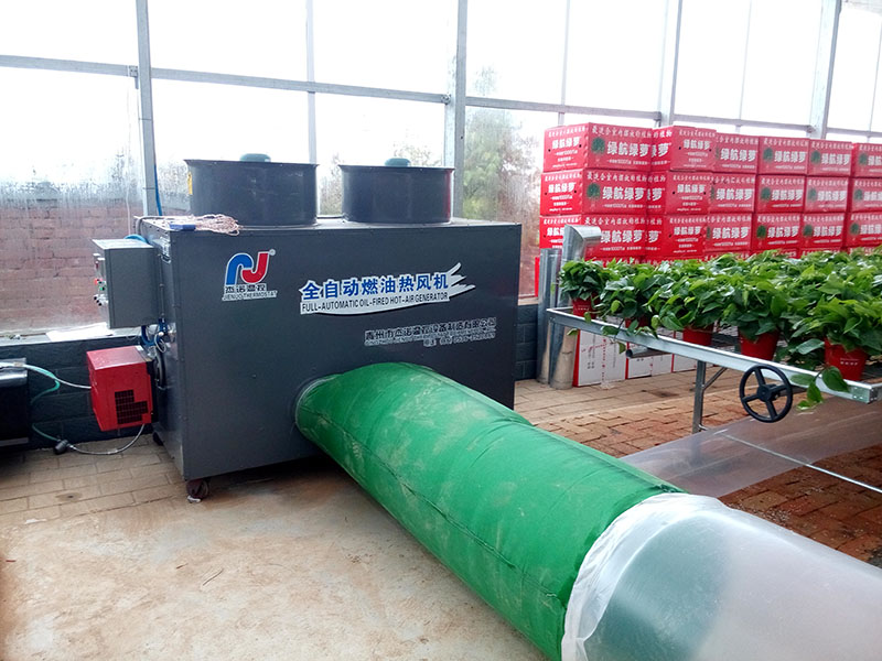 成熟妇人A片免费看网站