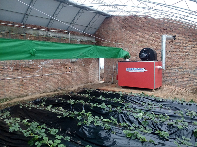 成熟妇人A片免费看网站