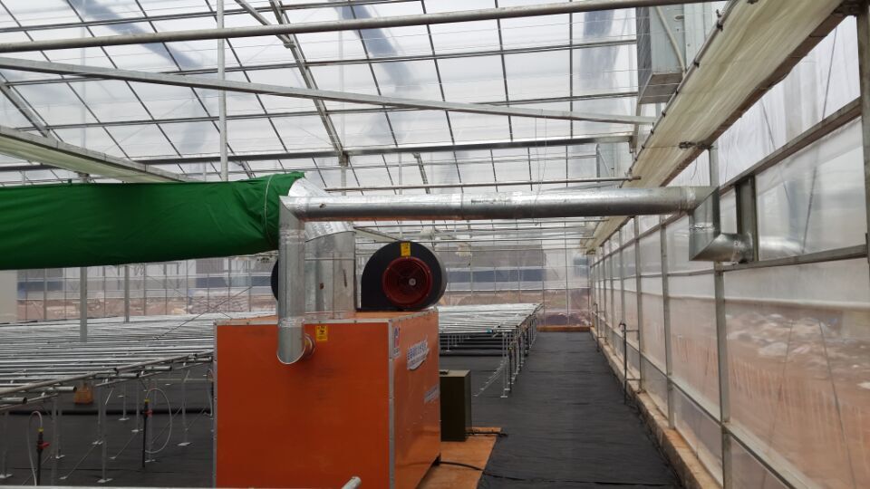 成熟妇人A片免费看网站