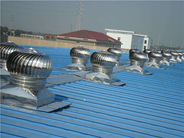 成熟妇人A片免费看网站