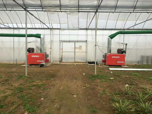 成熟妇人A片免费看网站