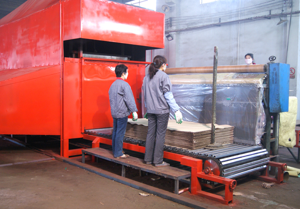 成熟妇人A片免费看网站