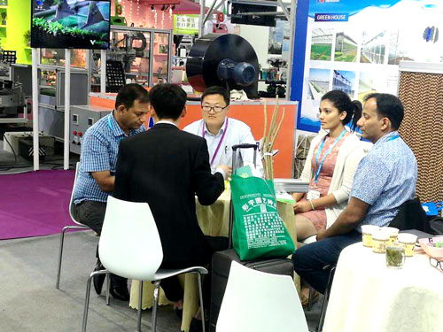 成熟妇人A片免费看网站