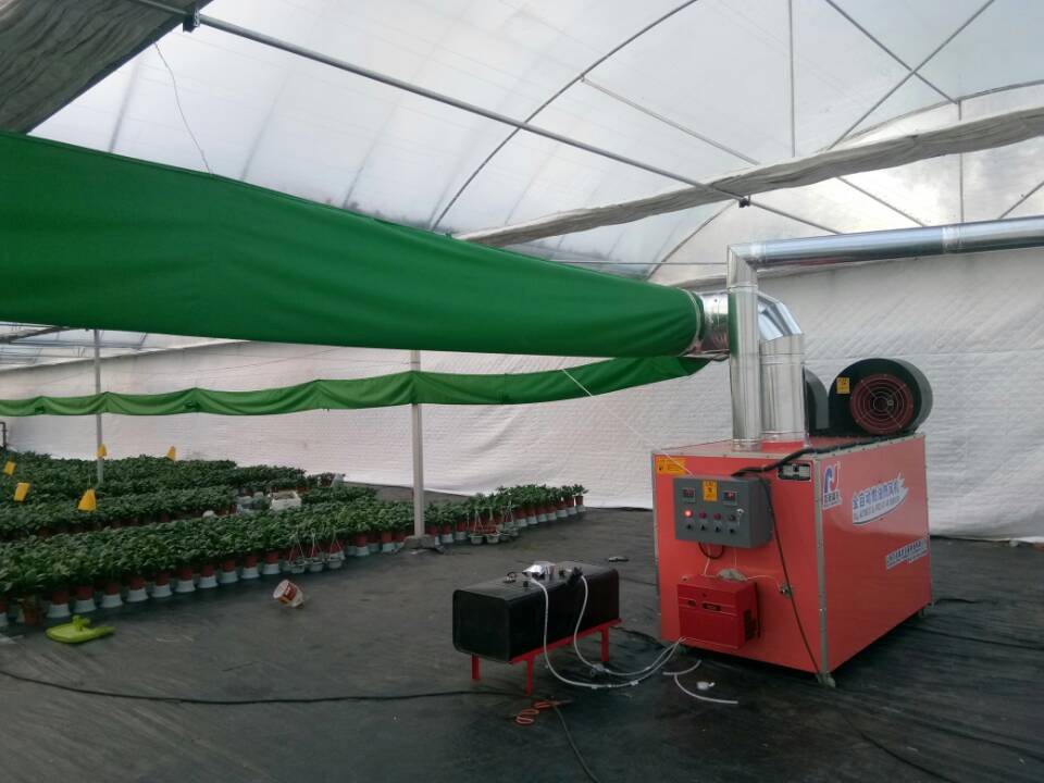 成熟妇人A片免费看网站