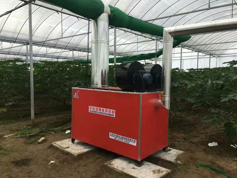 成熟妇人A片免费看网站