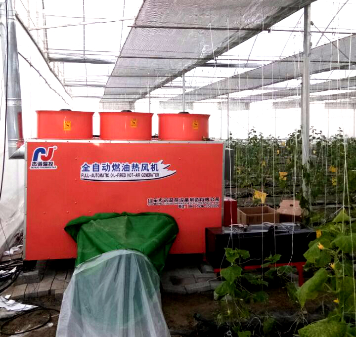 成熟妇人A片免费看网站