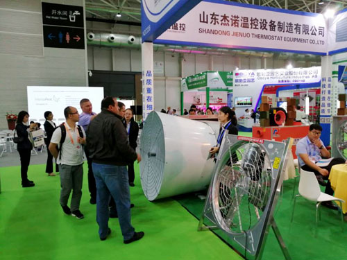 成熟妇人A片免费看网站